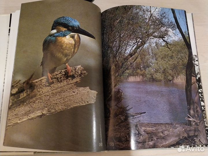 Книга о природе