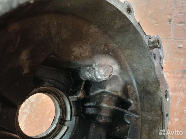 Кожух калины