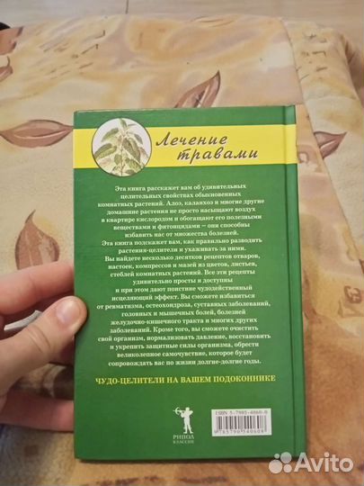 Целительные комнатные растения