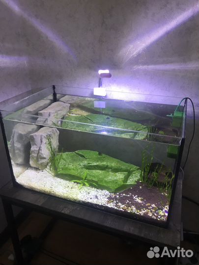 Аквариум