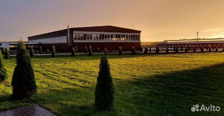 Постой для лошадей