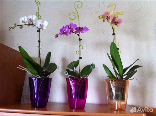 Кашпо для орхидеи