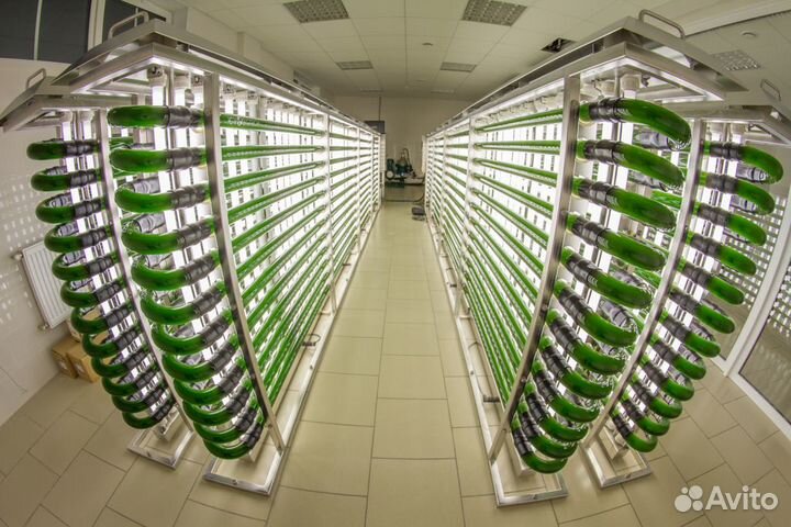 Обучение с нуля