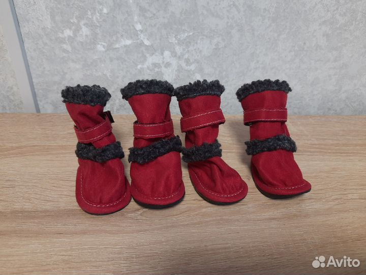 Обувь для маленьких собак