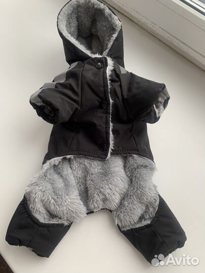 Одежда для маленьких собак