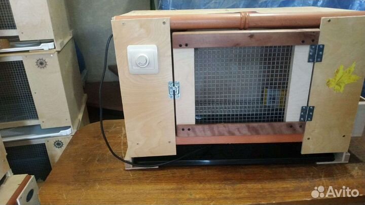 Брудер нового покаления-50 цыплят