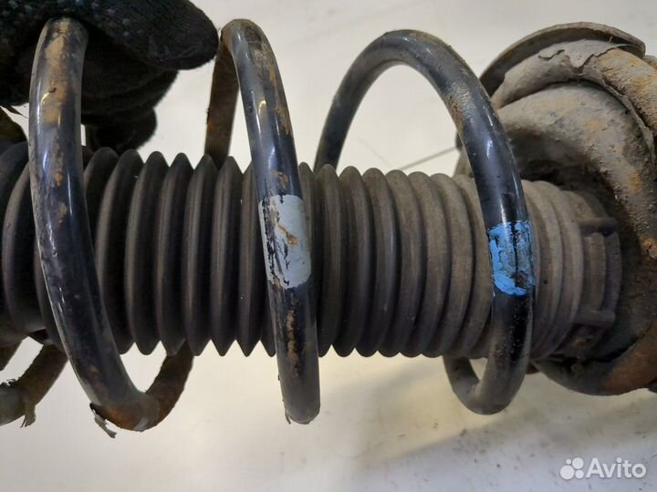 Амортизатор подвески Ford Focus 2, 2009