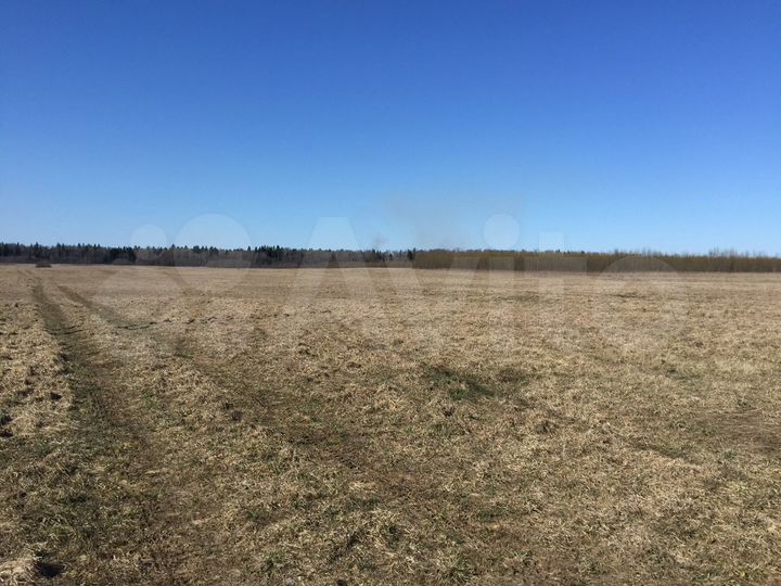 Участок 159 га (СНТ, ДНП)