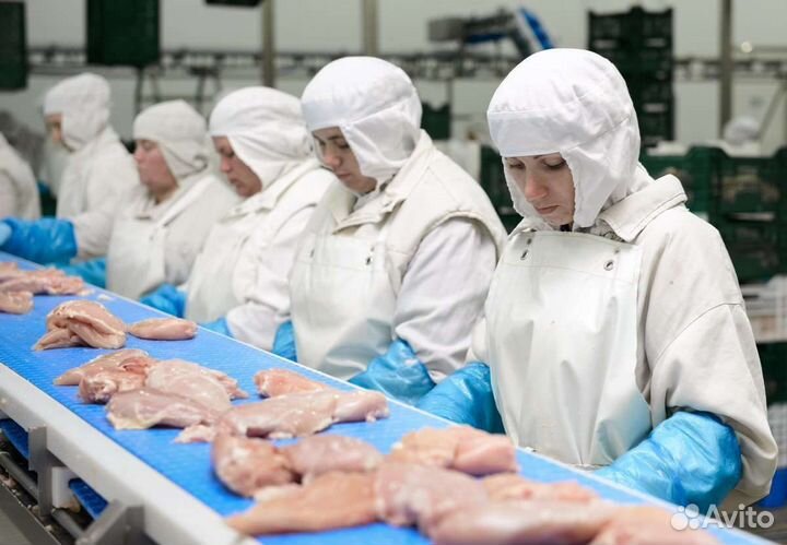 Работа на птицефабрике, требуются сотрудники