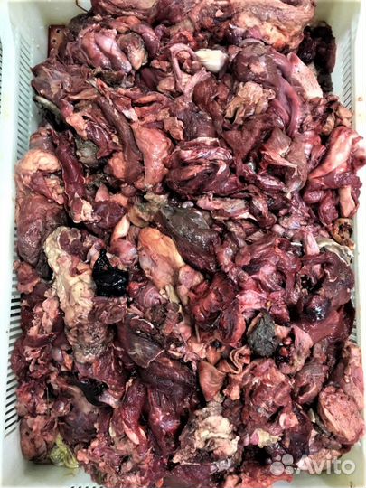 Мясная обрезь говяжья для собак