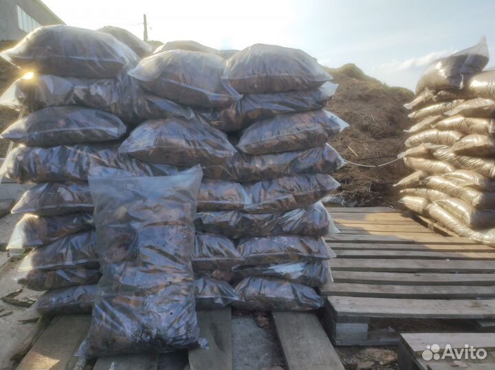 Мульча лиственницы и сосны с доставкой