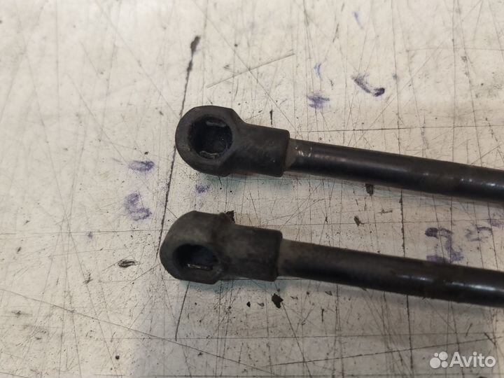 Амортизатор крышки багажника комплект Ford Focus 1