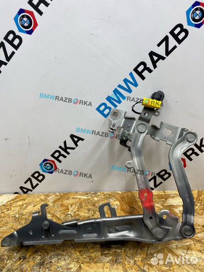 Петля капота правая BMW iX I20 2023 7933386