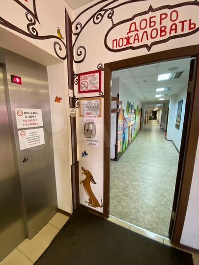 Комната 24 м² в > 9-к., 5/5 эт.