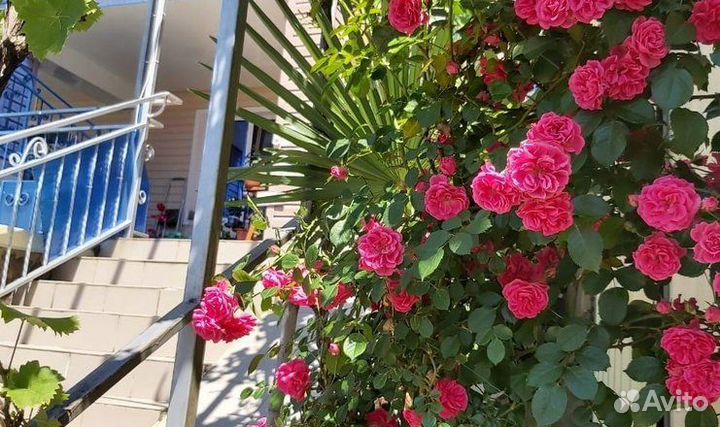 Горящие туры в Сочи из Екатеринбурга