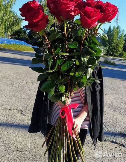 Высокие розы Гигантские розы Доставка цветов