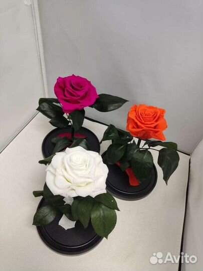 Роза в колбе оптом