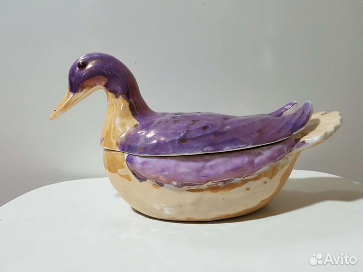 Уточка Кузнецова Редкая