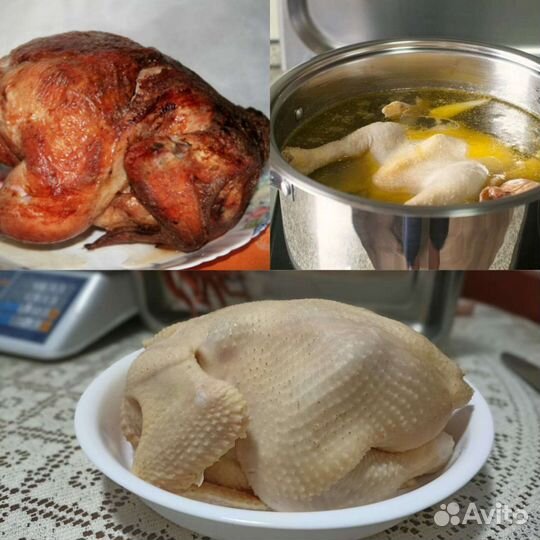 Мясо кур