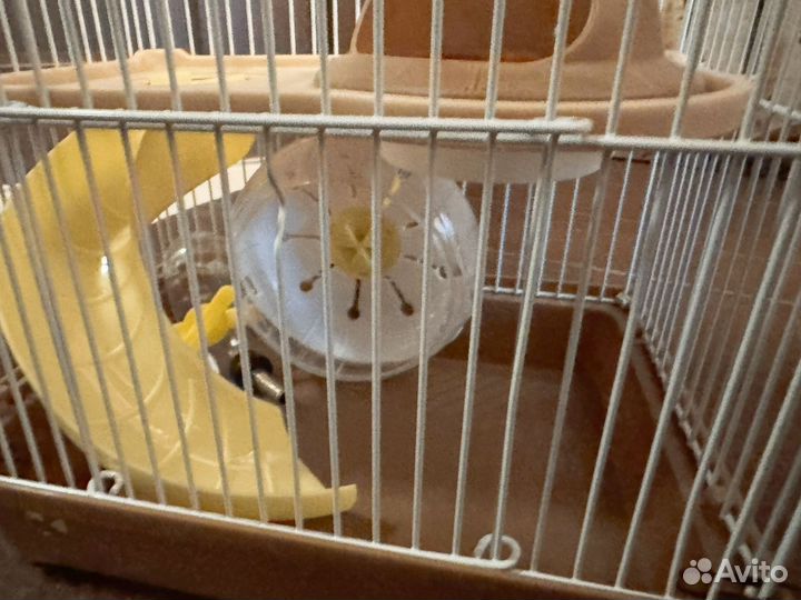 Клетка для грызунов