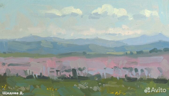 Этюды маслом. Часть 19