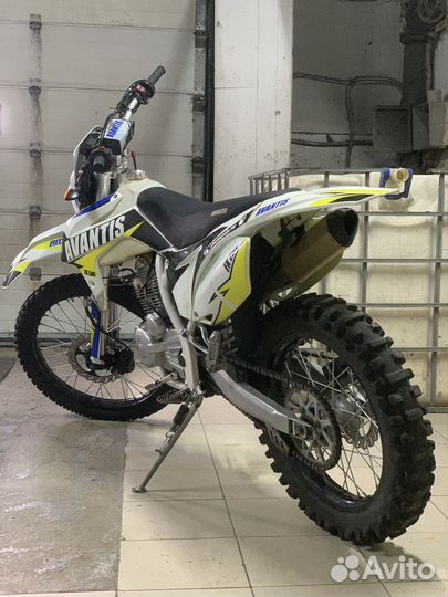 Avantis FX 250 Lux с птс