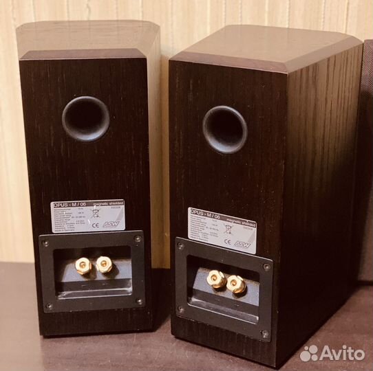 Колонки ASW Opus m-06