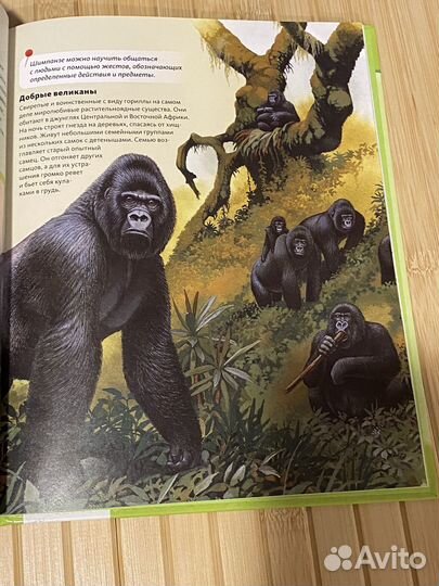 Книги для детей