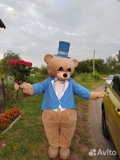 Экспресс поздравление, ростовая кукла, аниматор