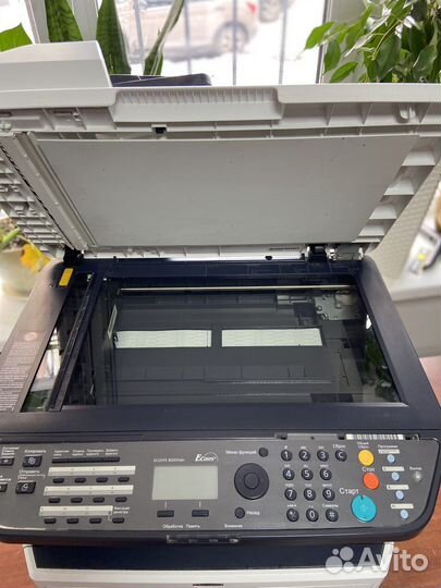 Мфу Kyocera Ecosys M2035dn