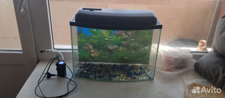 Аквариум