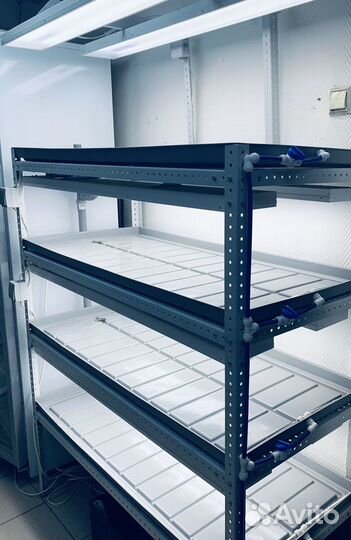 Гидропонная Установка для выращивания различных ра