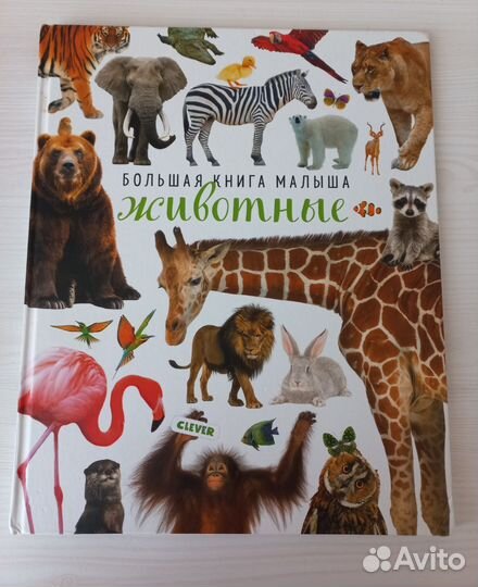 Большая книга малыша -животные от clever