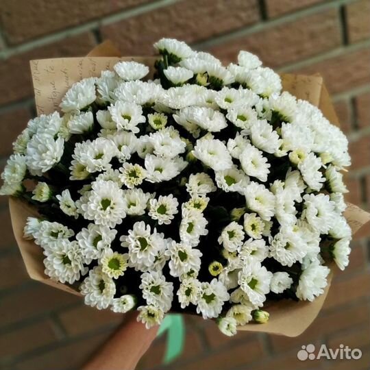 Хризантема Кустовая Сантини С доставкой