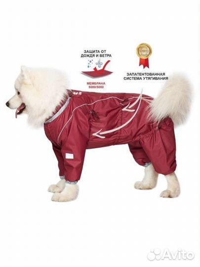 Комбинезон для собаки (девочки) средних размеров