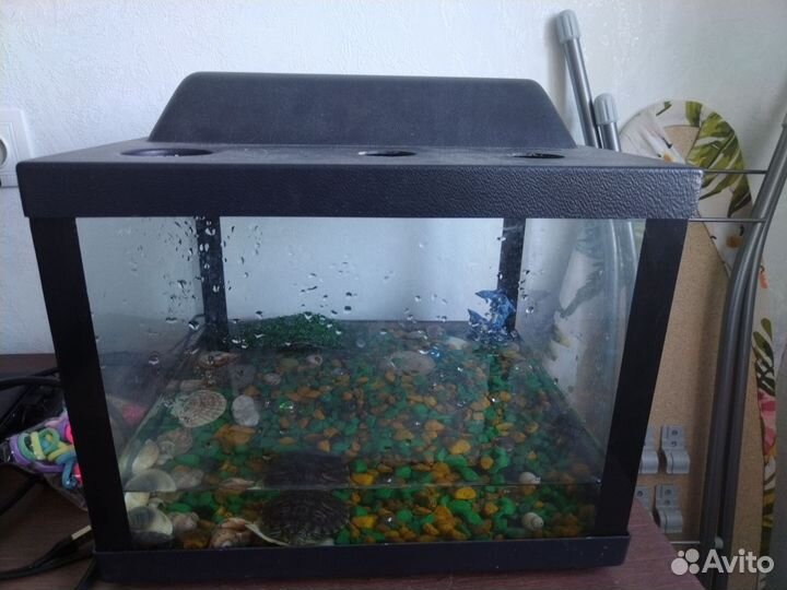 Аквариум