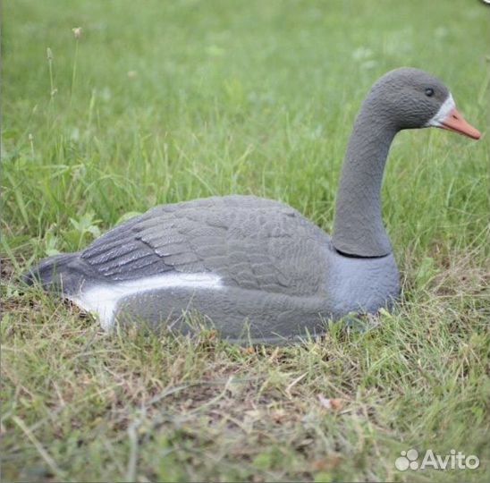 Гусь чучела скорлупки