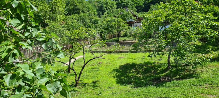 Участок 5,5 сот. (СНТ, ДНП)