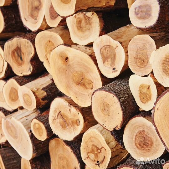 Масло дикого сандала. Редкость. Эксклюзив