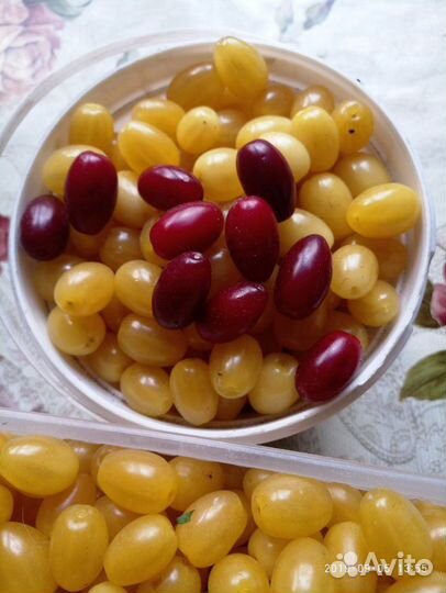 Саженцы