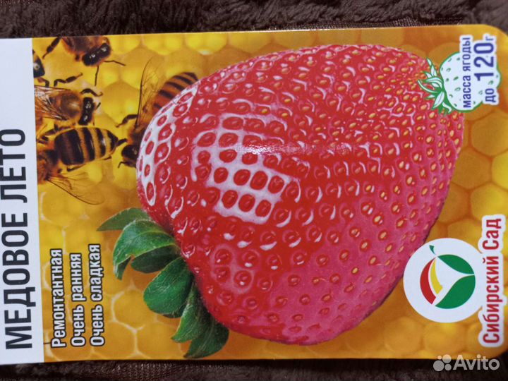 Рассада земляники/ клубники