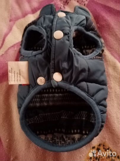 Комбинезон для маленькой собаки