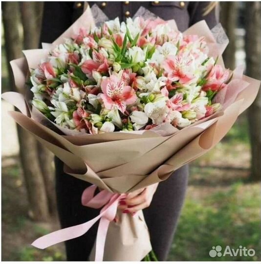 Букет Цветы Альстромерия