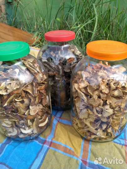 Сушеные грибы, чага