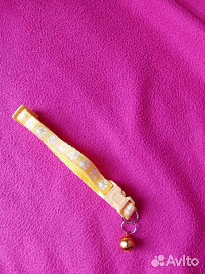 Ошейник маленький