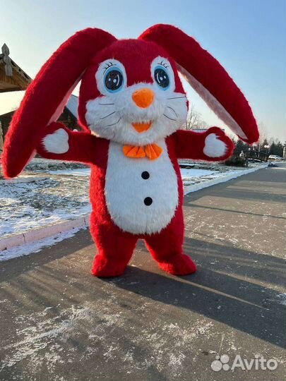 Поздравление. Медведь. Зайка. Панда