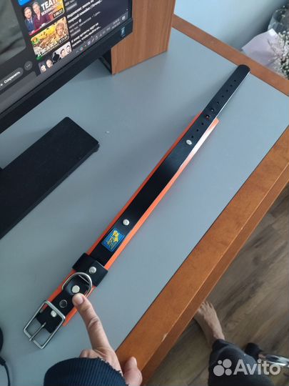 Ошейник и поводок для собак