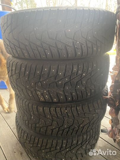 Hankook Winter I'Cept Evo2 W320 185/65 R14