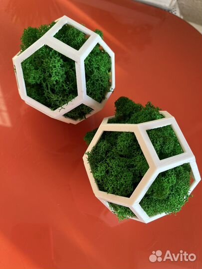 Кашпо со мхом