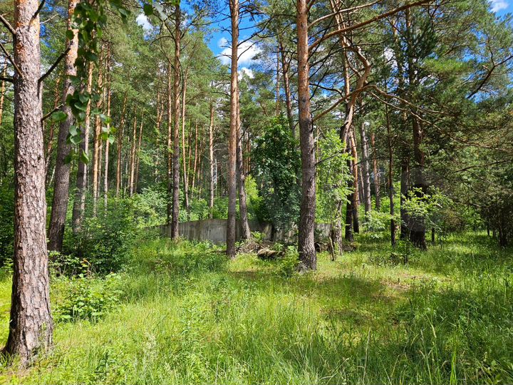 Участок 36 сот. (ИЖС)